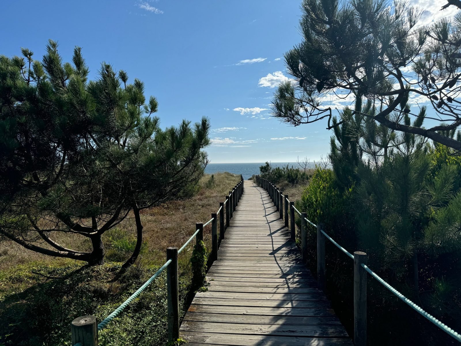 Un ponton de bois traversant les dunes vers la mer